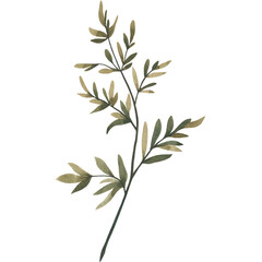 Watercolor Brench Wedding Branch Frame Rustic Floral