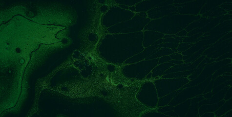 Vibrant and Dynamic Abstract Delight with a Multitude of Colors and Patterns