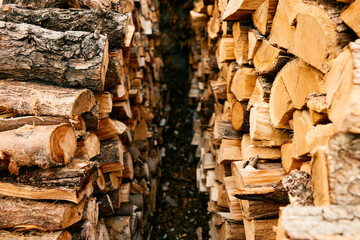 stack of firewood logs against vibrant yellow and white background