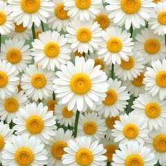 Fototapeta premium Fresh white daisies with yellow centers creating a playful floral background