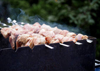 Cooking pork shashlik on coals