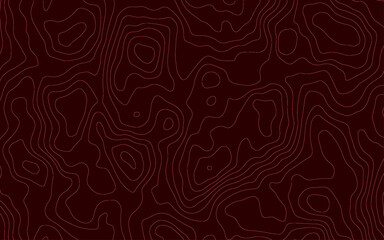 Topographic map. Geographic mountain relief. Abstract lines background. Contour maps. Vector illustration, Modern design with White background with topographic wavy pattern