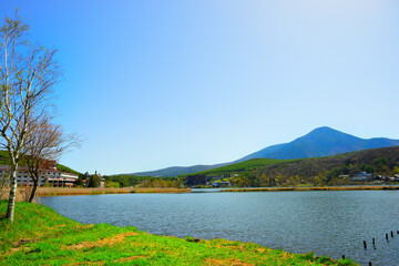 Fototapeta premium 白樺湖 長野県茅野市北山
