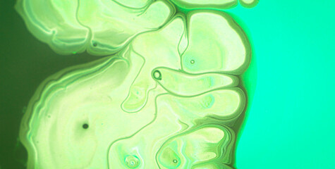 Whimsical and Energetic Colorburst Creating a Captivating and Abstract Visual Experience