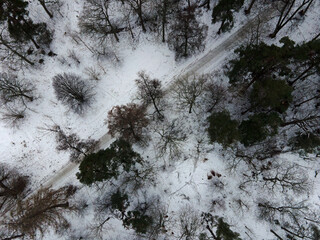 Aerial landscape of icy trees during snowy winter day in Central Stockholm