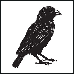Fototapeta premium Barbet vector silhouette