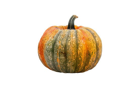 a big pumpkin, isolated, studio shot on transparent background, professional food studio style
