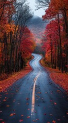 Fototapeta premium Autumn Road Through Red and Orange Foliage - Photo