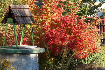 A water well in the yard of a rural house. A bush of viburnum grows next to the well.