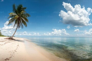 Panorama banner photo of idyllic tropical beach with palm tree