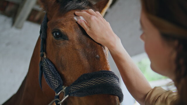 Horse owner petting animal head at peaceful barn with warm sunlight closeup