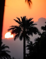 Obraz premium Palm Tree Serenade 