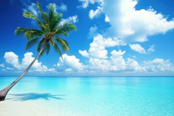 Panorama banner photo of idyllic tropical beach with palm tree