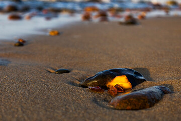 A beautiful piece of amber lies on the warm sand of the beach