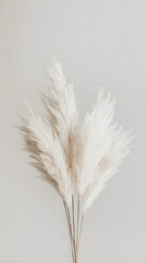 Dried flowers Lagurus on a light beige wall. Minimalistic composition, interior concept in modern design. Delicate pastel tones