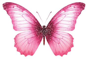 PNG Vibrant pink butterfly illustration