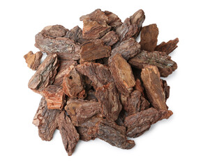 Pieces of tree bark on white background, top view