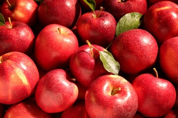 Fresh ripe red apples and green leaves as background, closeup
