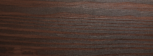 Texture of walnut wood surface, closeup. Banner design