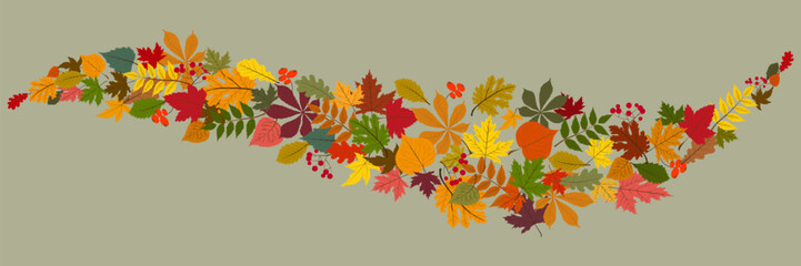 Fototapeta premium Yellow Leaves Vector Transparent Background. Beautiful Foliage Illustration. Golden Realistic Floral Template. Tree Design.
