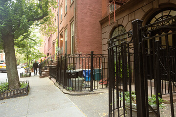 Obraz premium Charming Urban Street with Historic Brownstones 