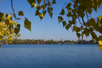 A peaceful lake with vibrant trees and red sailboats in the distance, framed by overhanging branches with autumn colored leaves under a clear blue sky