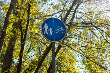 Close-up of white bike lane symbols on an asphalt path, with soft shadows from surrounding trees and fallen autumn leaves scattered nearby
