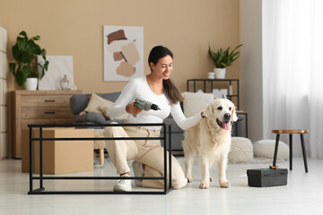 Young African-American woman with her cute dog assembling furniture using drill at home