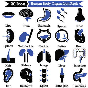 Human Body Organ Icon Pack