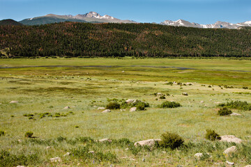 Looking over Moraine Park in Rocky Mountain National Park, Colorado in mid-July.  The Big Thompson river flows in the valley.