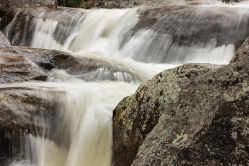 Fototapeta premium The Big Thompson River rushes over boulders creating numerous small falls within Rocky Mountain National Park, Colorado in mid-July