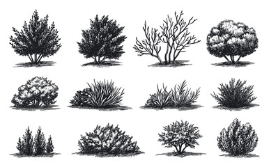 Shrub Set Vintage style retro prints Garden Design Landscaping Projects and nature-themed creations Perfect for evoking timeless classic aesthetics Artistic endeavors
