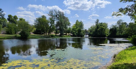 Landscape on the lake in the Hydropark in Kyiv - calm water and aquatic plants