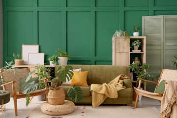 Sofa, armchairs and Monstera houseplant on pouf in interior of living room
