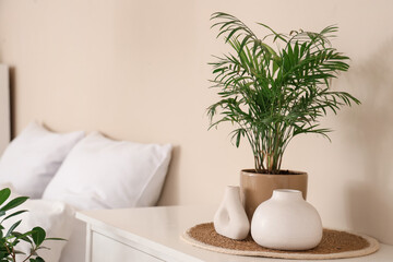 Houseplant and vases on chest of drawers near bed in bedroom. closeup