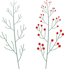 Illustrations of red berries, on an isolated background as a Christmas decoration