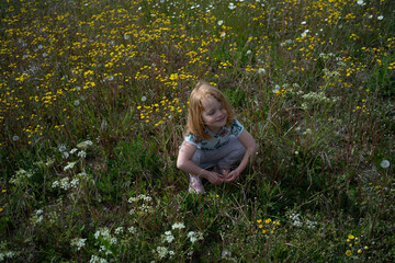 little ginger-haired girl sits in the field of wild flowers