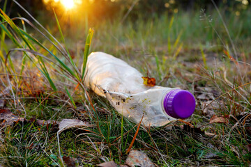 Plastic bottle thrown away in forest. Garbage in nature, reusable products. Rubbish thrown in...