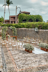 region garden with palm trees and flowers