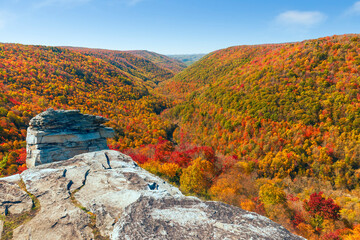 View from Lindy Point Overlook over Blackwater Canyon in Blackwater Falls State Park