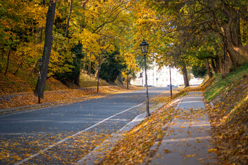 Warsaw, Poland - autumn alley in the park. Fall in the park. Beautiful autumn colors in the park.