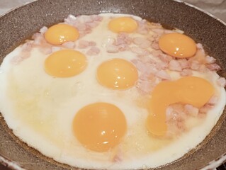 fried egg in a frying pan