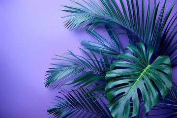 A green plant sitting on top of a purple wall