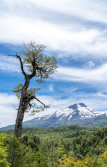 Obraz premium View of the Choshuenco volcano in the south of Chile.