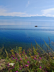 Summer landscape with boat and purple flowers on Circum-Baikal Railway