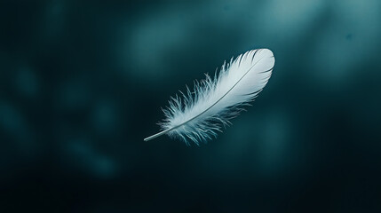 Delicate white feather gracefully floating on a dreamy blurred and cloudy dark blue background, symbolizing peace, mindfulness and spiritual calm.