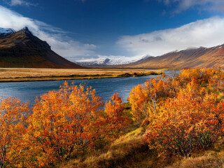Naklejka premium Autumn