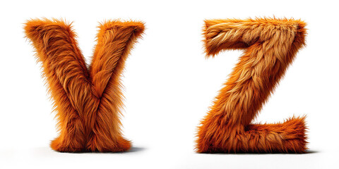 Letters Y, Z. Alphabet Made of Ultra-Realistic Brown Dog Fur: Hair Letters.