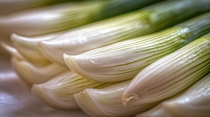 Fresh Onions on a White Background