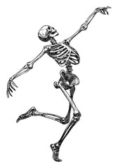 skeleton running isolated hand drawn sketch movement and grace dynamic dancing pose halloween card design element line art detailed vector illustration